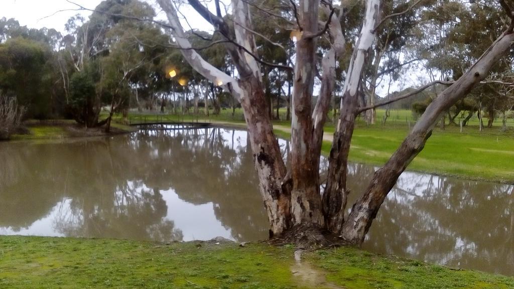 Magdala Motor Lodge & Lakeside Restaurant Stawell Exteriör bild